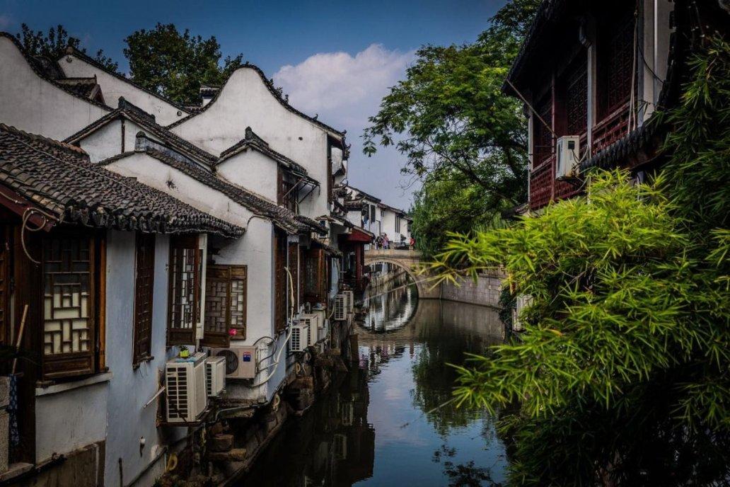 猫的腰断了能活吗？游戏画面